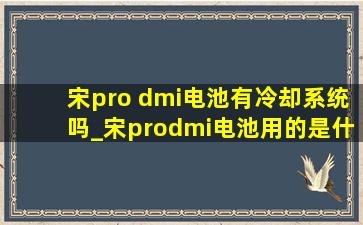 宋pro dmi电池有冷却系统吗_宋prodmi电池用的是什么冷却方式